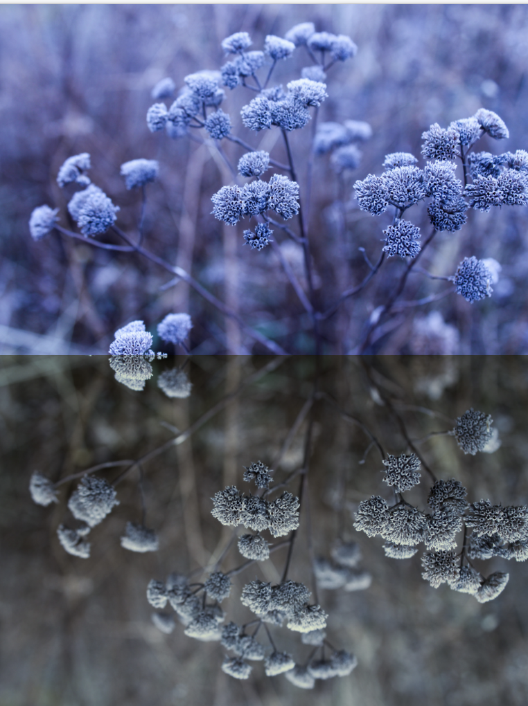 Screen Shot 2020-02-14 at 9.14.51 AM.png