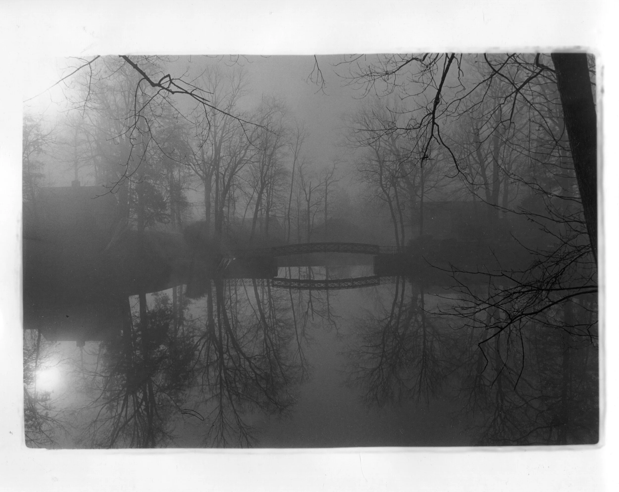 Copy of photo575.jpg