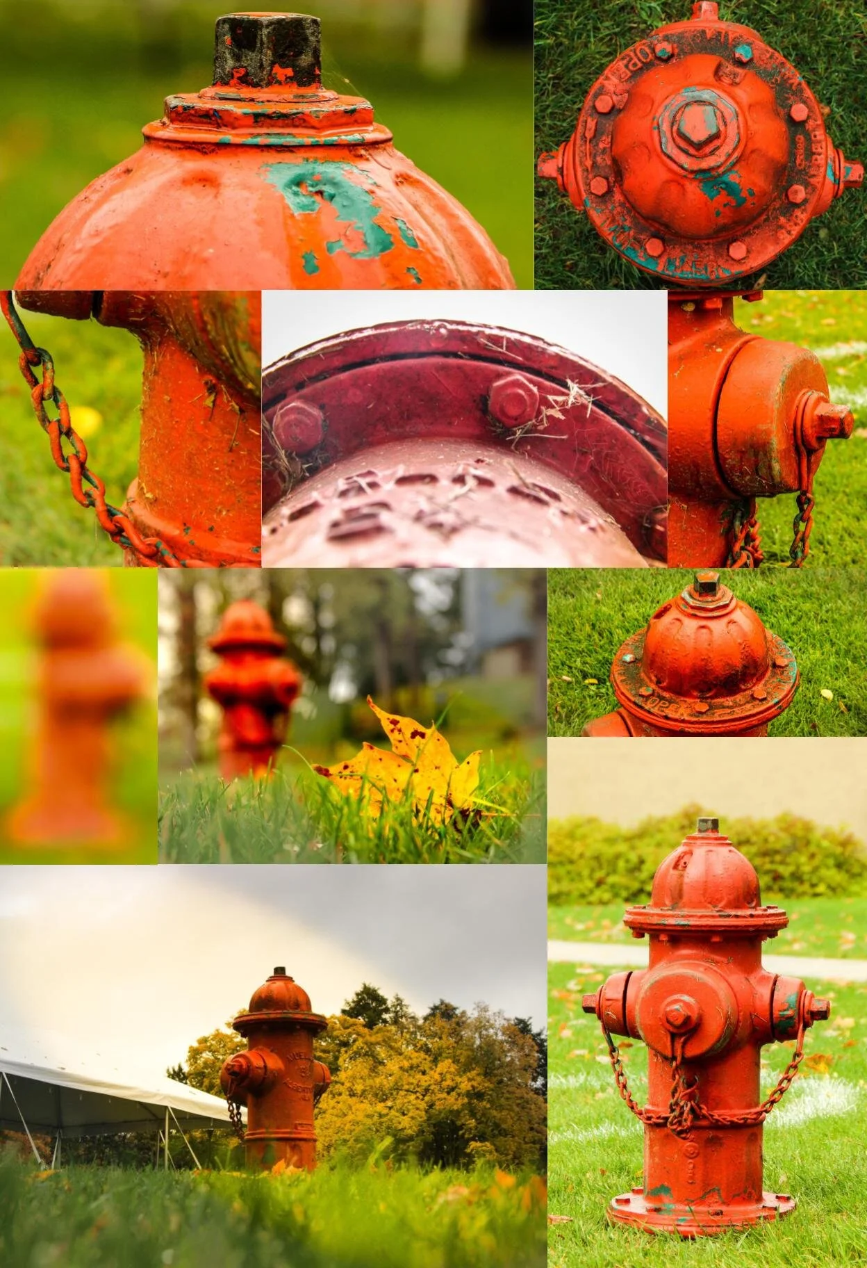 10 Photos Poster.jpg