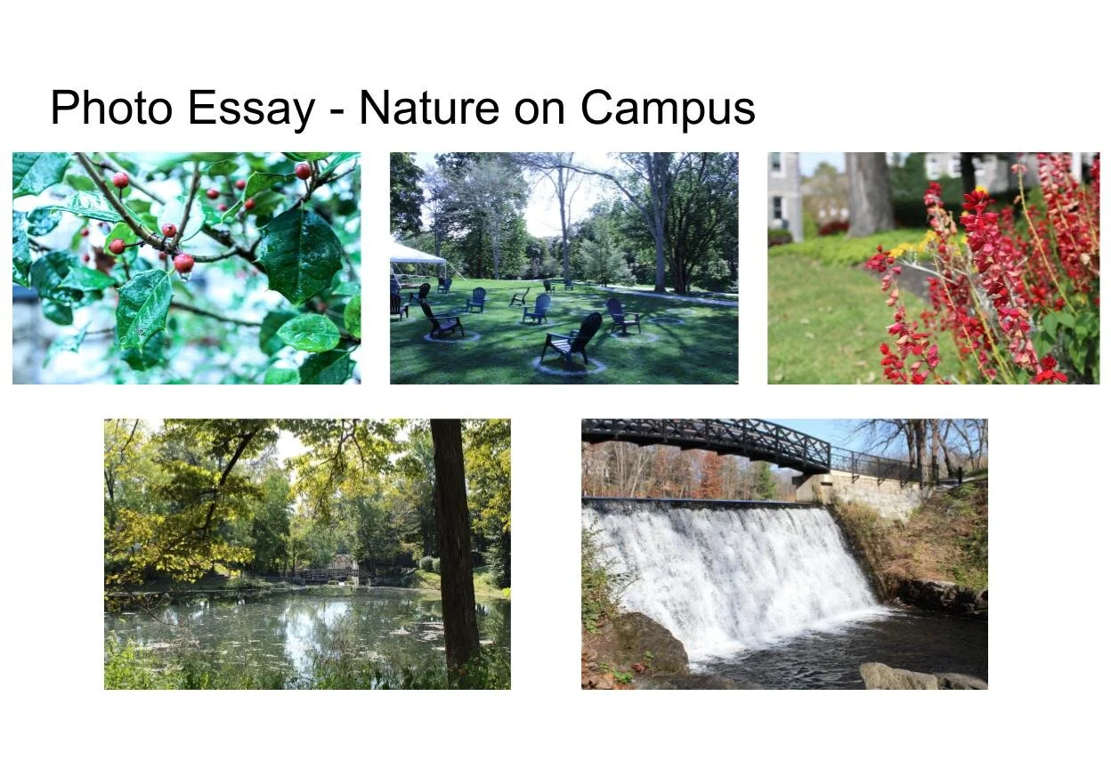 digital photo journal  (3).jpg