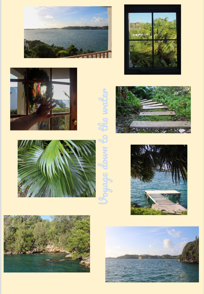 Screen Shot 2020-12-14 at 2.53.00 PM.png