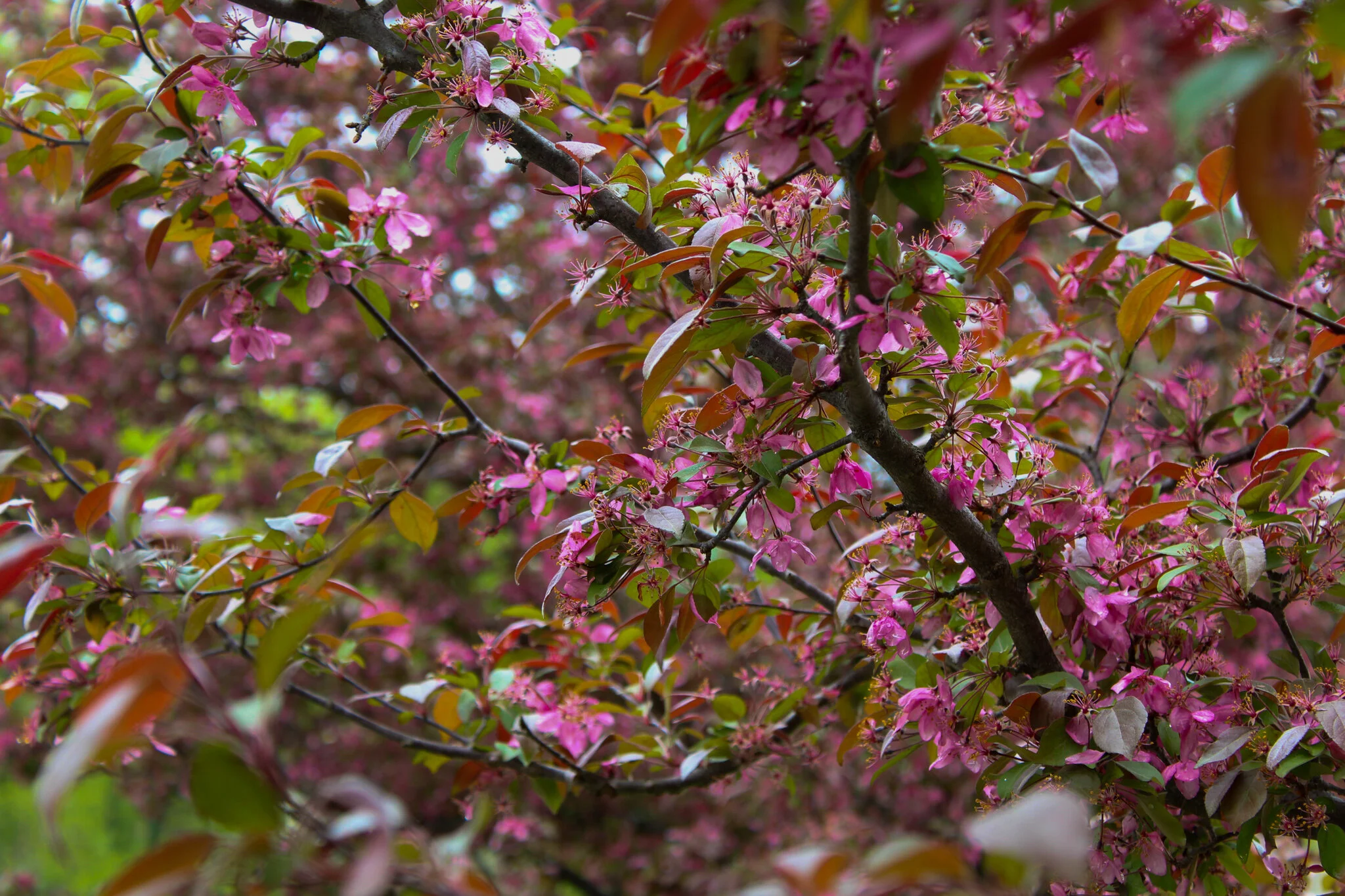 IMG_0478 9.00.49 AM.jpg