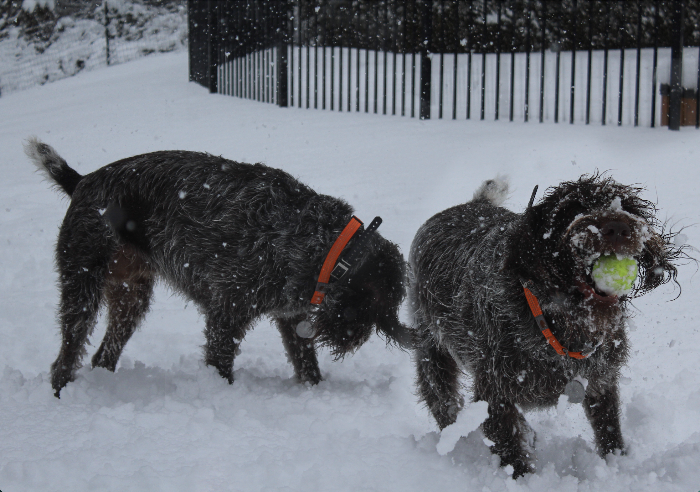 Screen Shot 2021-05-22 at 11.12.17 AM.png