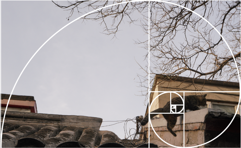 Screenshot 2026-02-24 at 1.32.34 PM.png