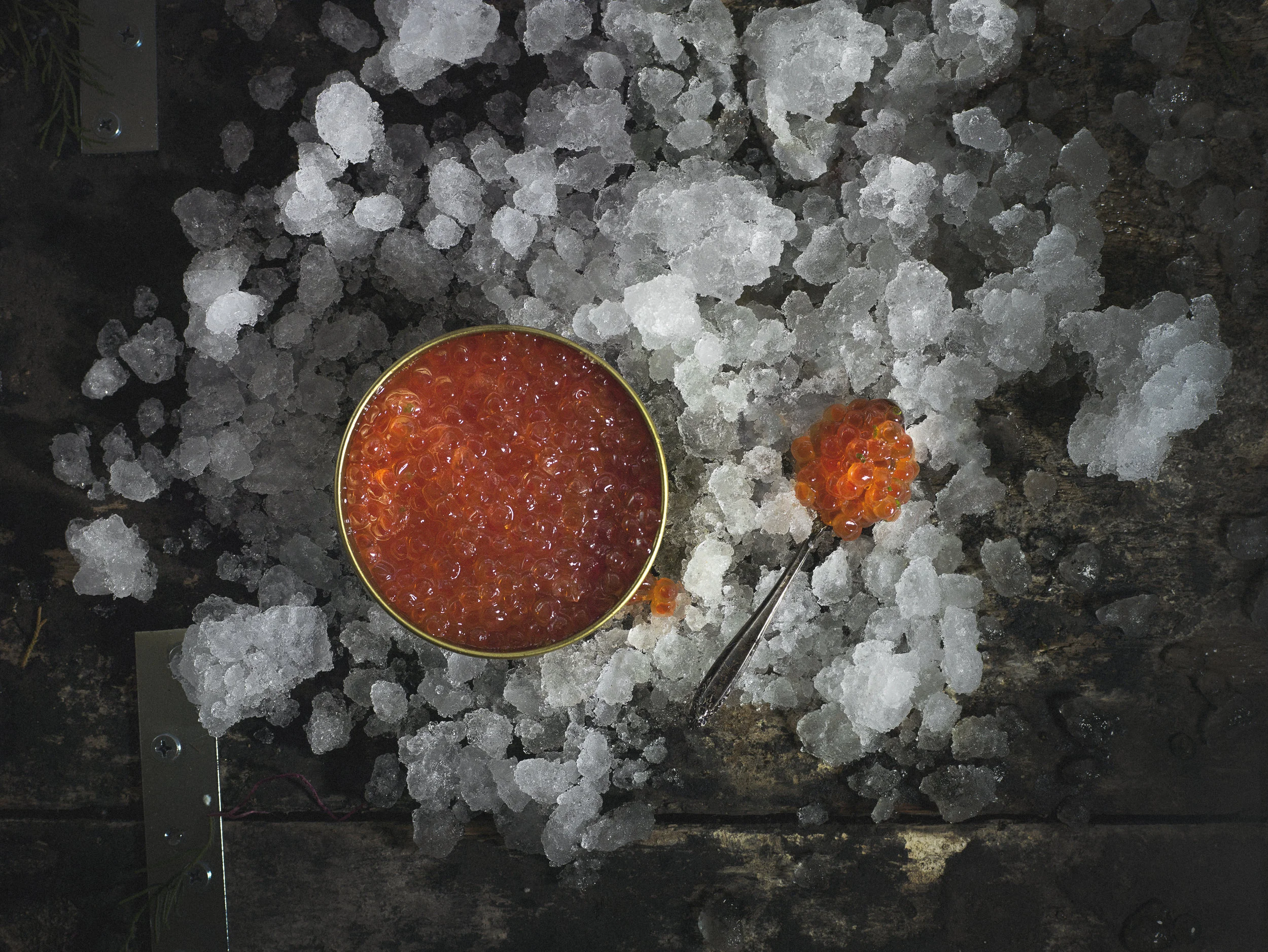 8th&English_Caviar.jpg