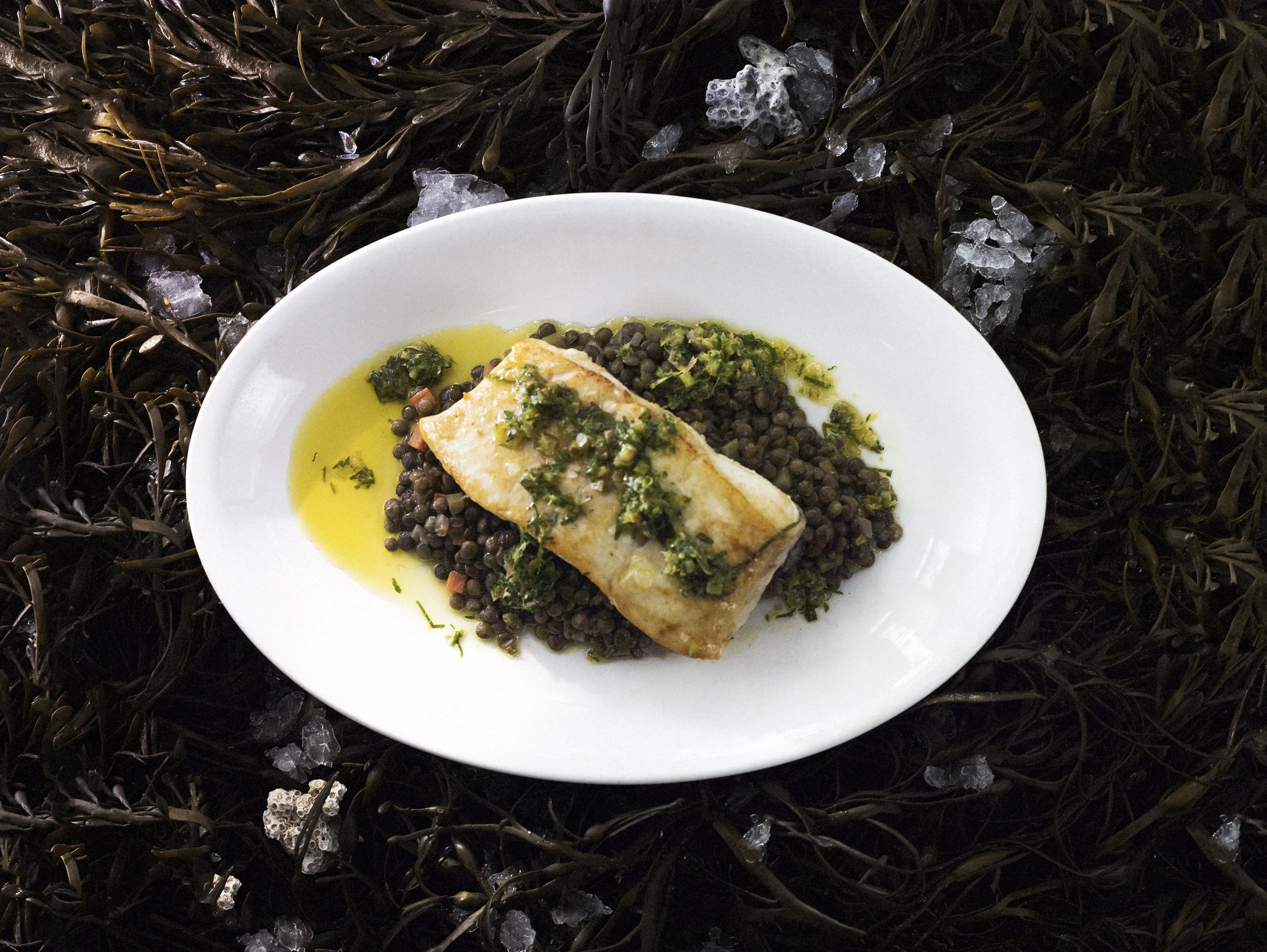 halibut.jpg