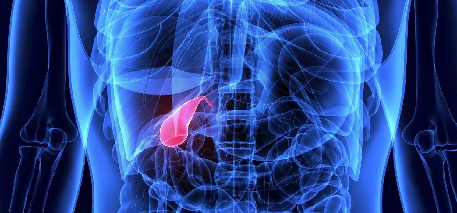 scientific-image-of-gallbladder.jpg