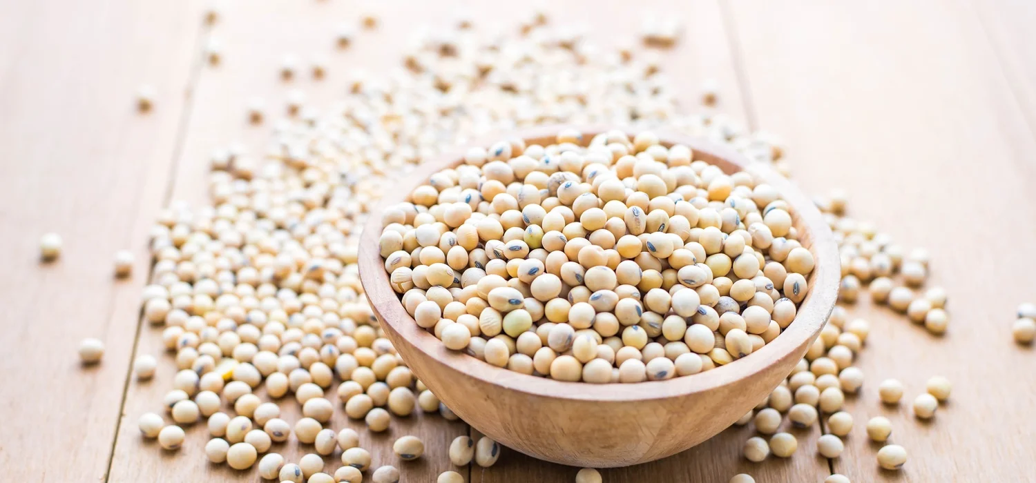a-bowl-of-soy-beans.jpg