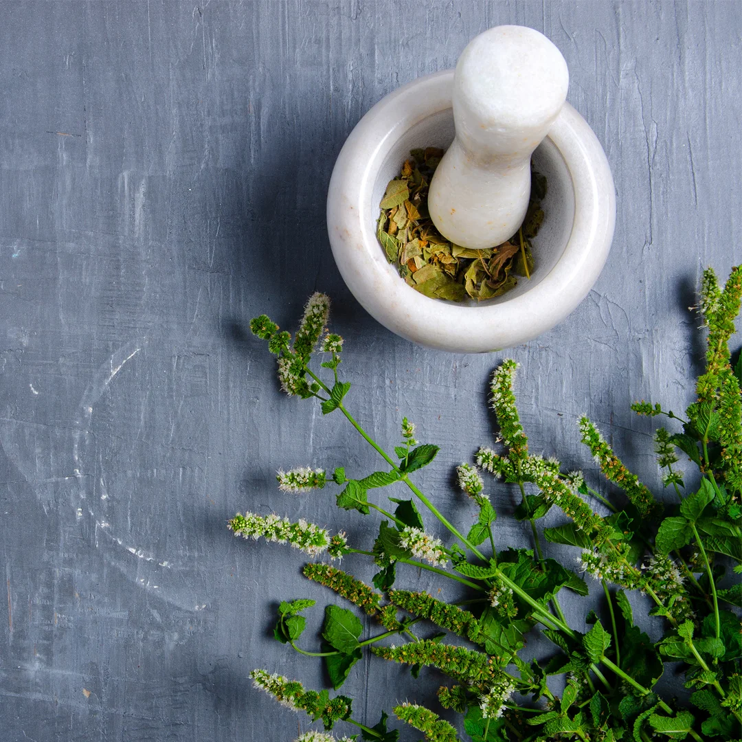 Understanding the Safety of Herbs & Common Misconceptions
