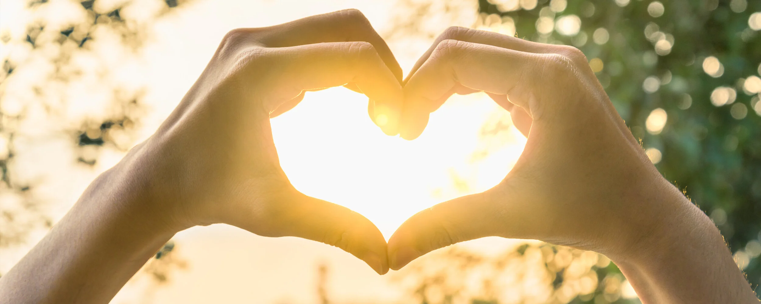 Healing-by-Design---Understanding-Heart-Health-2500-x-1000.jpg