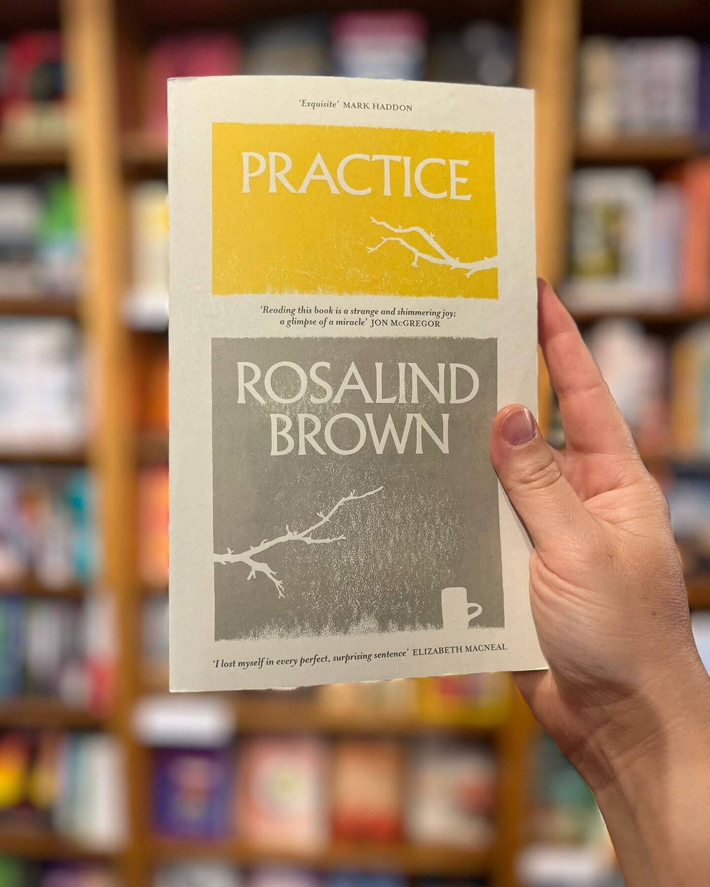 💚🧡 A BOOK WE LOVE 🧡💚

Practice by Rosalind Brown ✍️ 🏫 

This cellular-level dissection of a day in the life, and mind, of a young student, while she wrestles with Shakespeare&rsquo;s sonnets, is a compelling and thrilling novel. Annabel&rsquo;s 