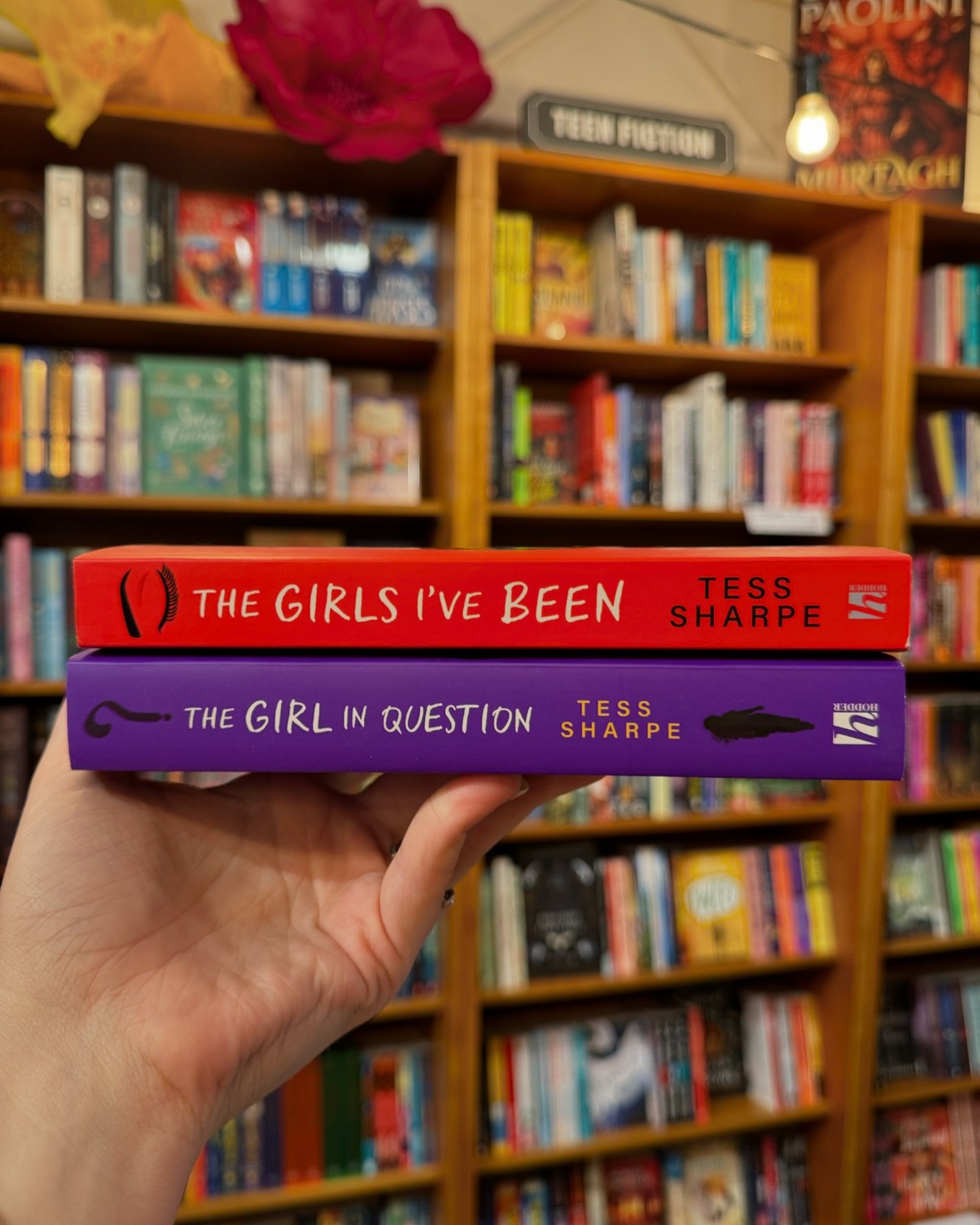 All the way back in 2021 we LOVED Tess Sharpe&rsquo;s The Girls I&rsquo;ve Been; a tense and stylish thriller where we watched the unfolding of a bank heist gone horribly wrong. 

Now our three hostages-turned-heroes, mysterious Nora, bubbly Iris and