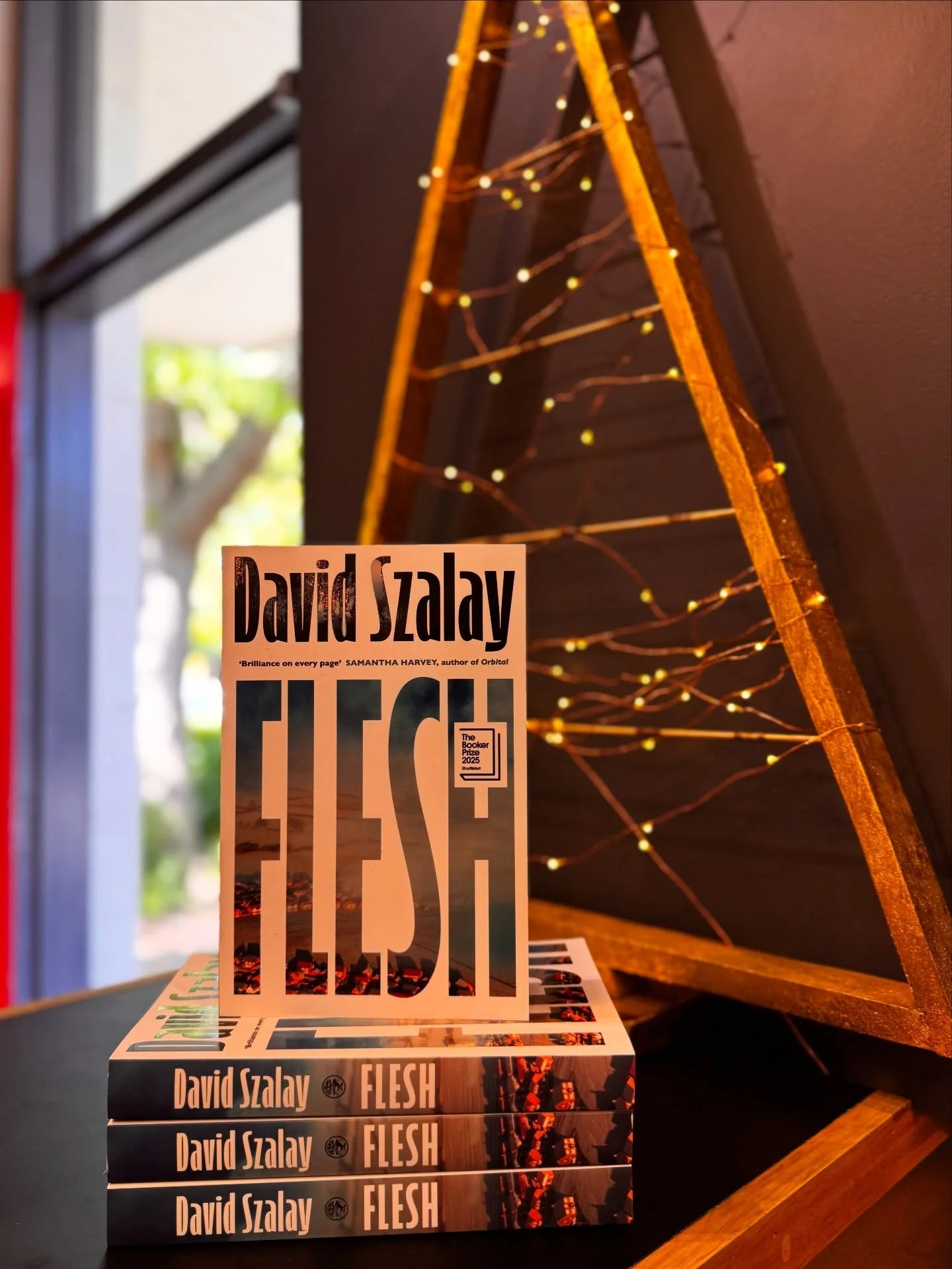 🎊✨ Matilda Bookshop Book of the Year 2025 ✨🎊

It is with great pleasure that we announce that Flesh by David Szalay, is our favourite book of the year.

In an outstanding year of fiction this is the book that as booksellers we&rsquo;ve almost unani