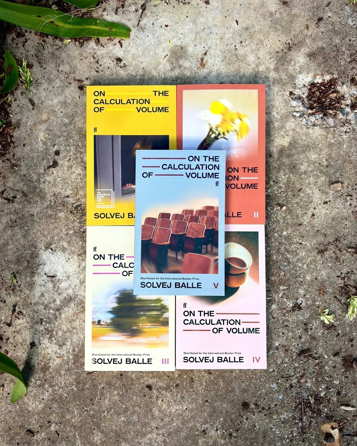 ❤⌛ MATILDA, TRANSLATED BOOK CLUB: SPECIAL EVENT ⏳❤

At this point, it is no secret: we are ✨obsessed✨ with the On the Calculation of Volume series by Solvej Balle, and to celebrate the release of the fifth installment of this Danish septology, we wan