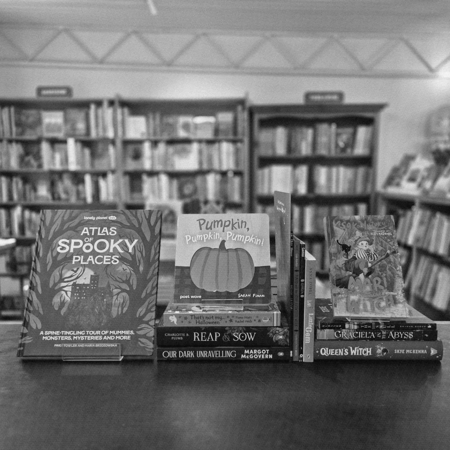 🎶 It's the most wonderful time of the year 🎶... that song is about Halloween, right? 🎃 

Well, we ADORE the spooky season here at Matilda Bookshop! To celebrate all things slightly scary, magical, macabre or thrilling, here is a selection of title