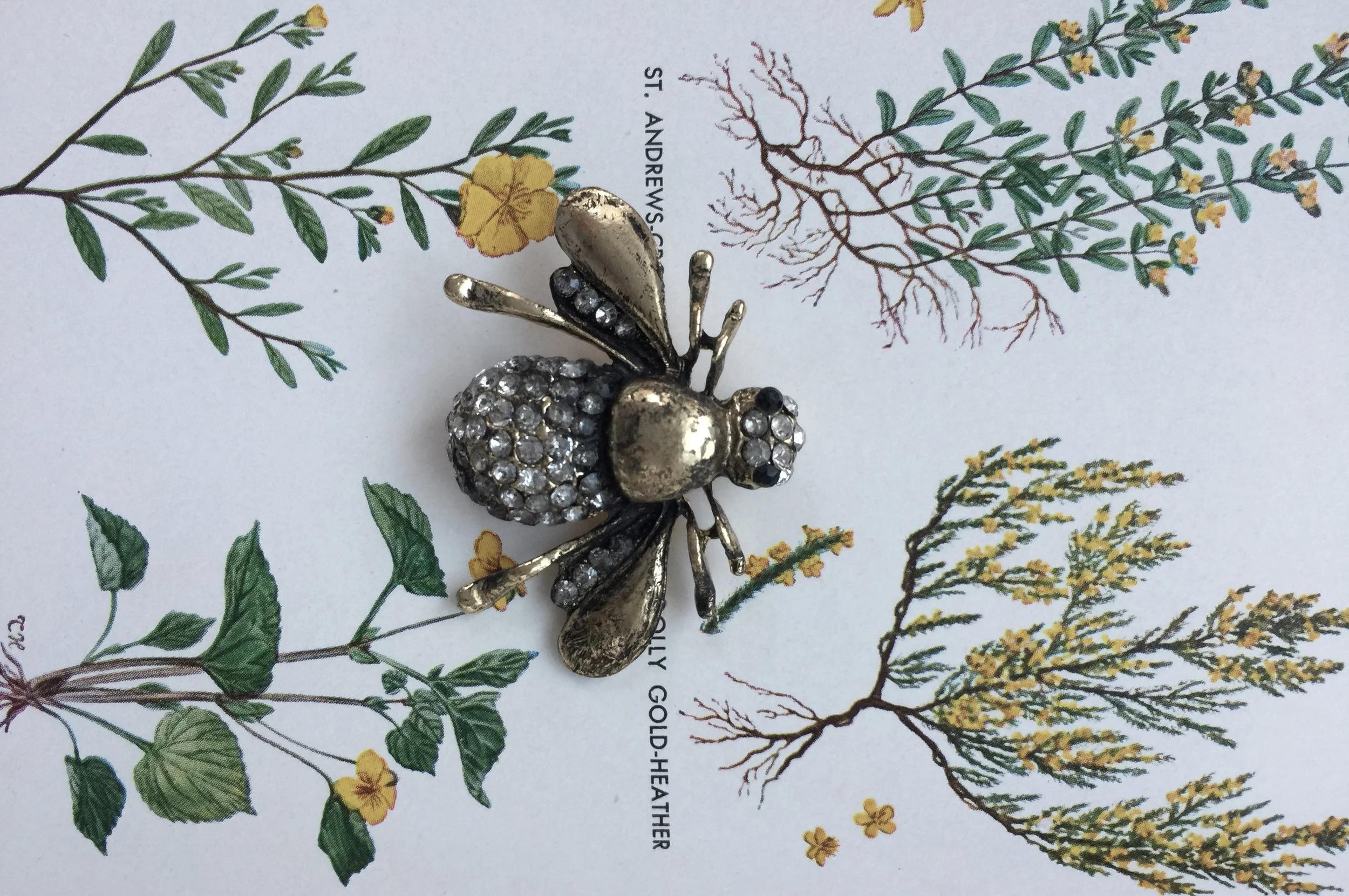 Queen Honey Bee Brooch, www.pintamology.com