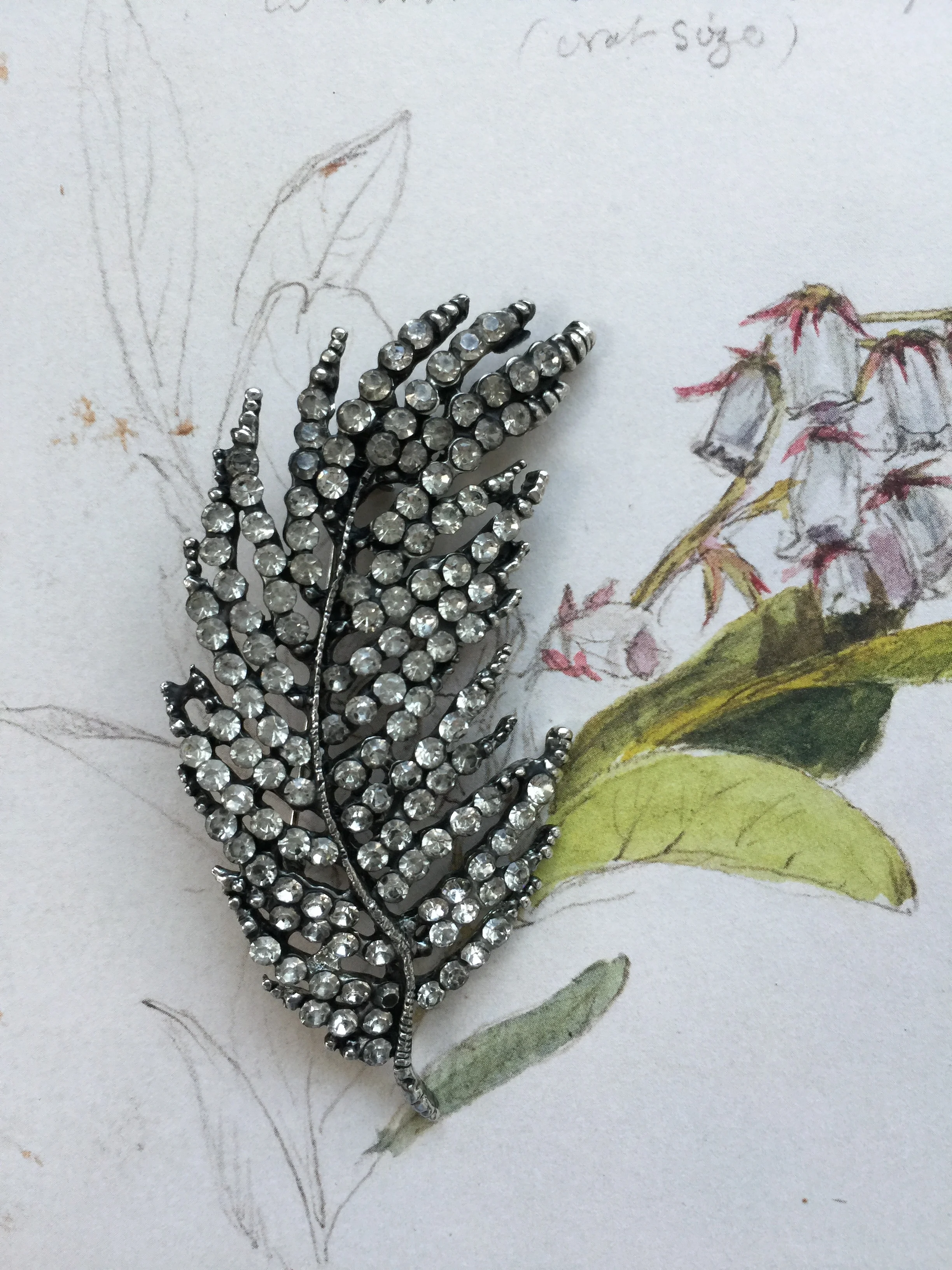 Emperor Goose Feather Brooch www.pintamology.com