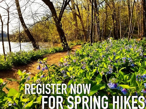 Check out our spring lineup! Get 10% off, now through Earth Day. Use SPRING2019 at check out. Link in bio. Look forward to hitting the trail with y'all!  #trailsandalesdc #hikelocaldrinklocal