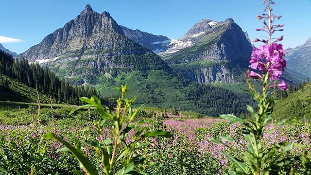 Happy Earth Day and National Parks Week! @glaciernps is one of those parks that makes you feel especially grateful for the wild places on this Earth and the good people that protect them! #hikelocaldrinklocal #trailsandalesdc #findyourpark #earthday2