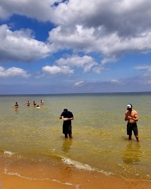Summer heat have you dreaming of the water? Join us Sat 6/15 on our Calvert Cliffs hike where you can swim, hunt for FOSSILS (shown above), and hang out on the beach. This hike to the bay is one of our most unique adventures and you can enjoy wine sl
