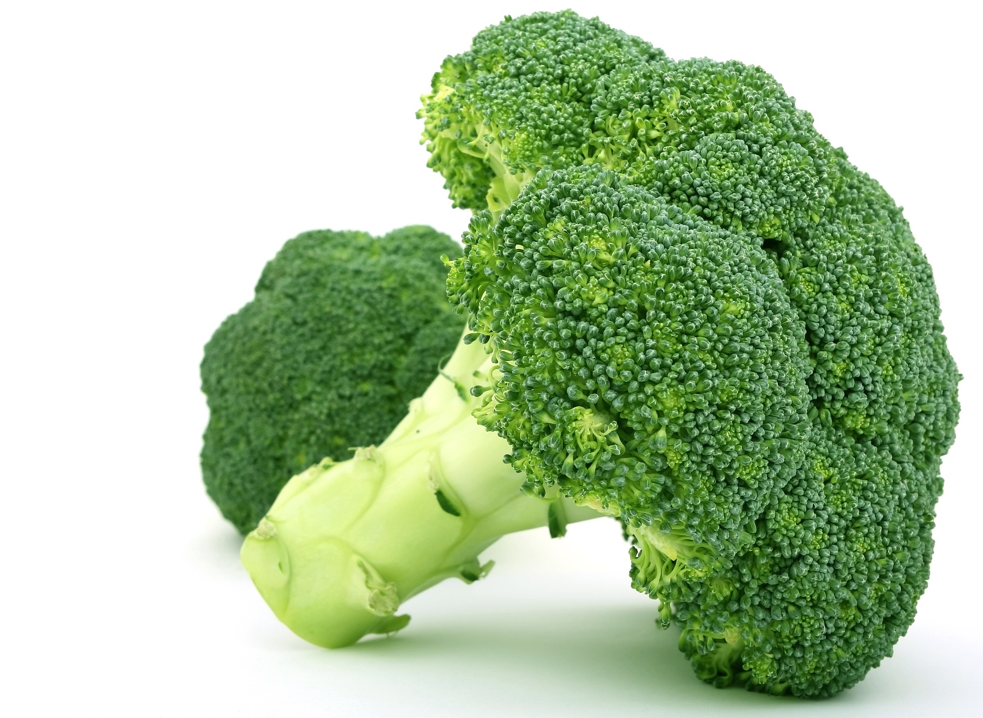 บล็อคโคลี่ (Broccoli Extract) — ผลิตภัณฑ์เสริมอาหารบุญ  เป็นผลิตภัณฑ์เสริมอาหารที่ผู้บริโภคทานอันดับหนึ่ง ผลิตภัณฑ์เสริมอาหารบุญ  “บำรุงกระเพาะอาหาร” ผลิต