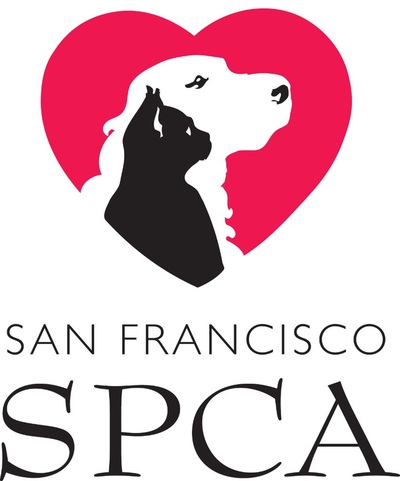 SF SPCA Internship Program