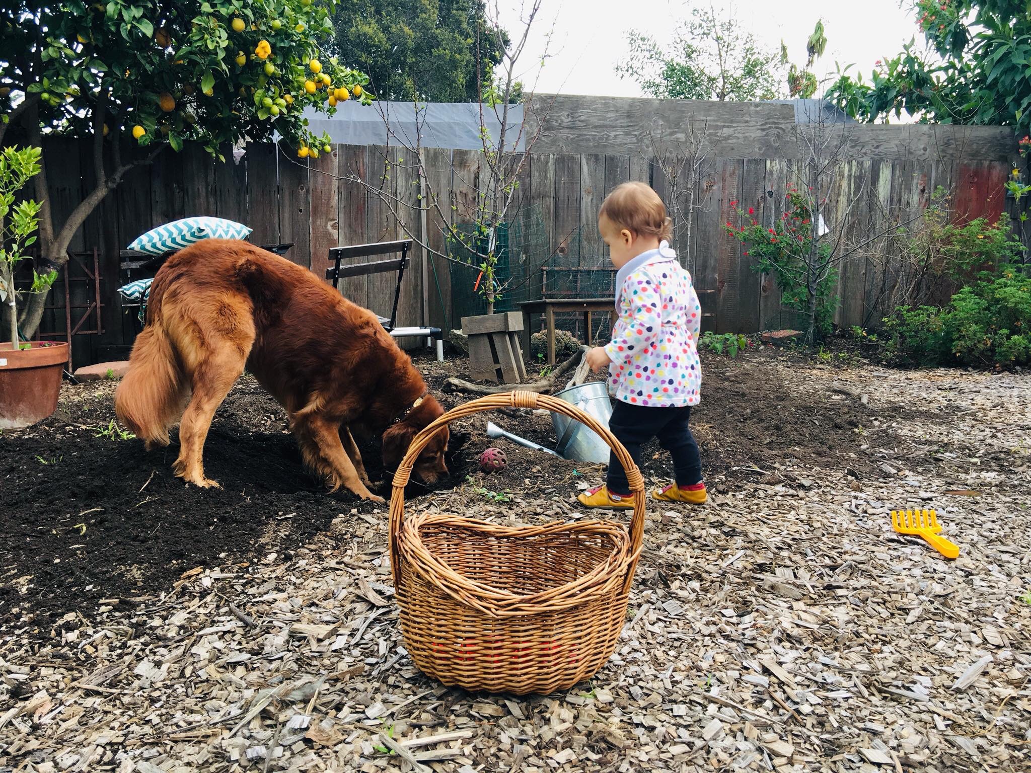 Digging everywhere