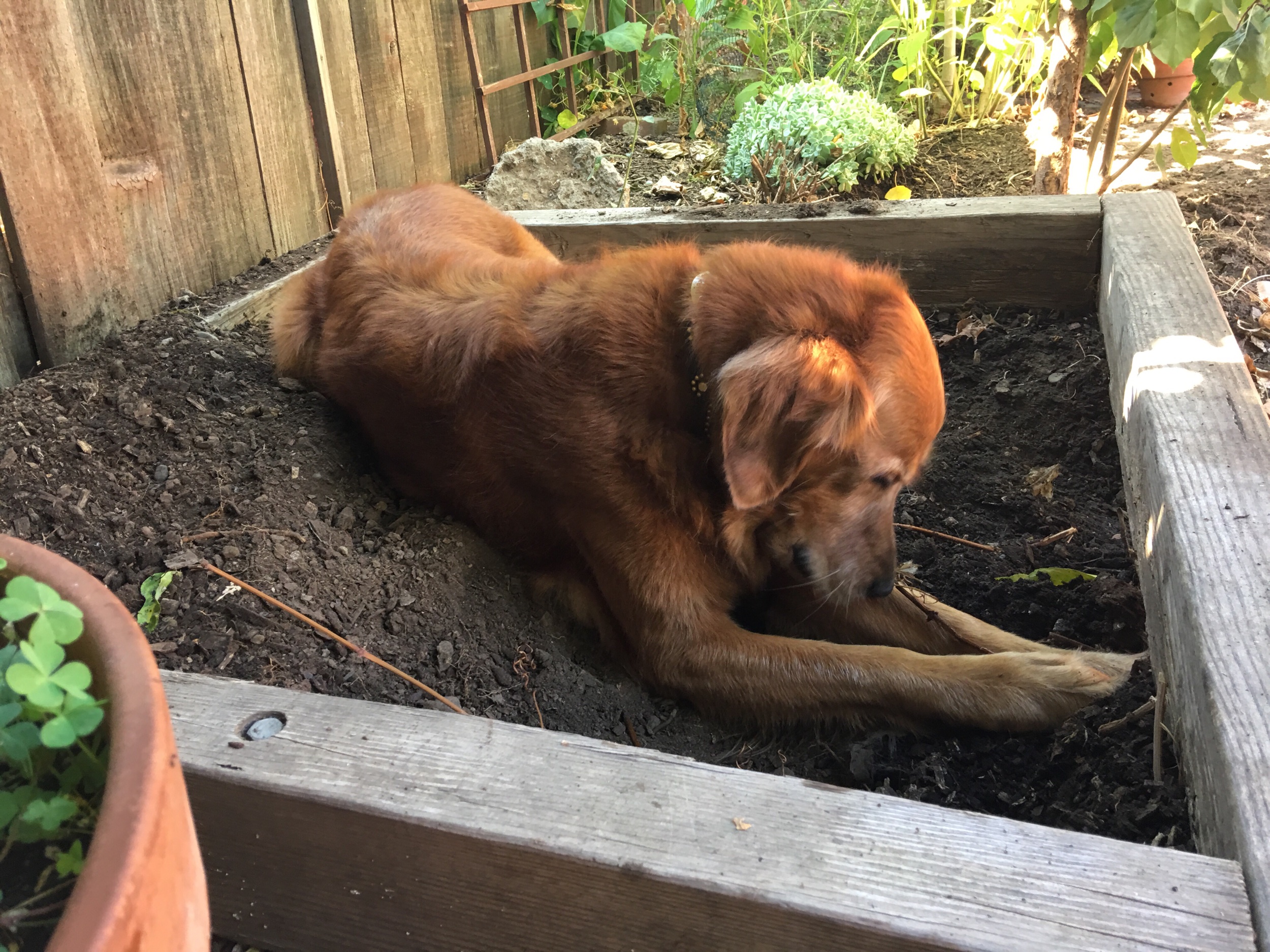 “My stick is also here!”