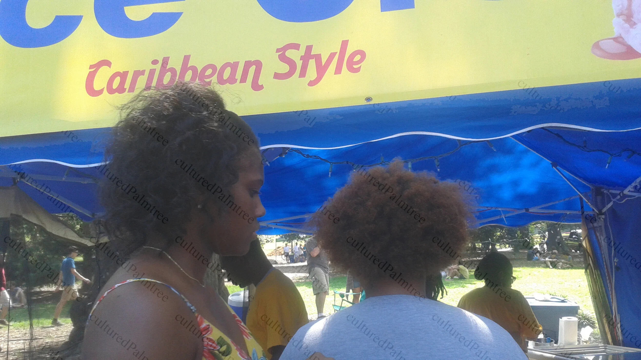 Atlanta || Ice Cream Fest at Piedmont Park || July 2015