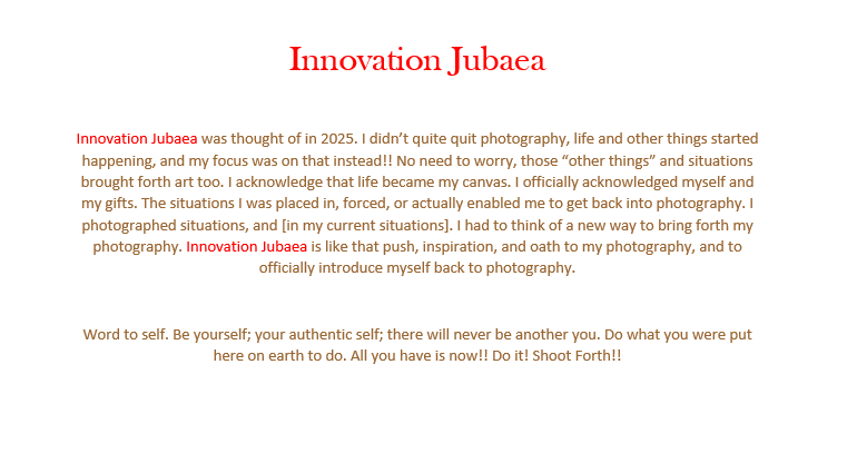 Innovation Jubea flyer.png
