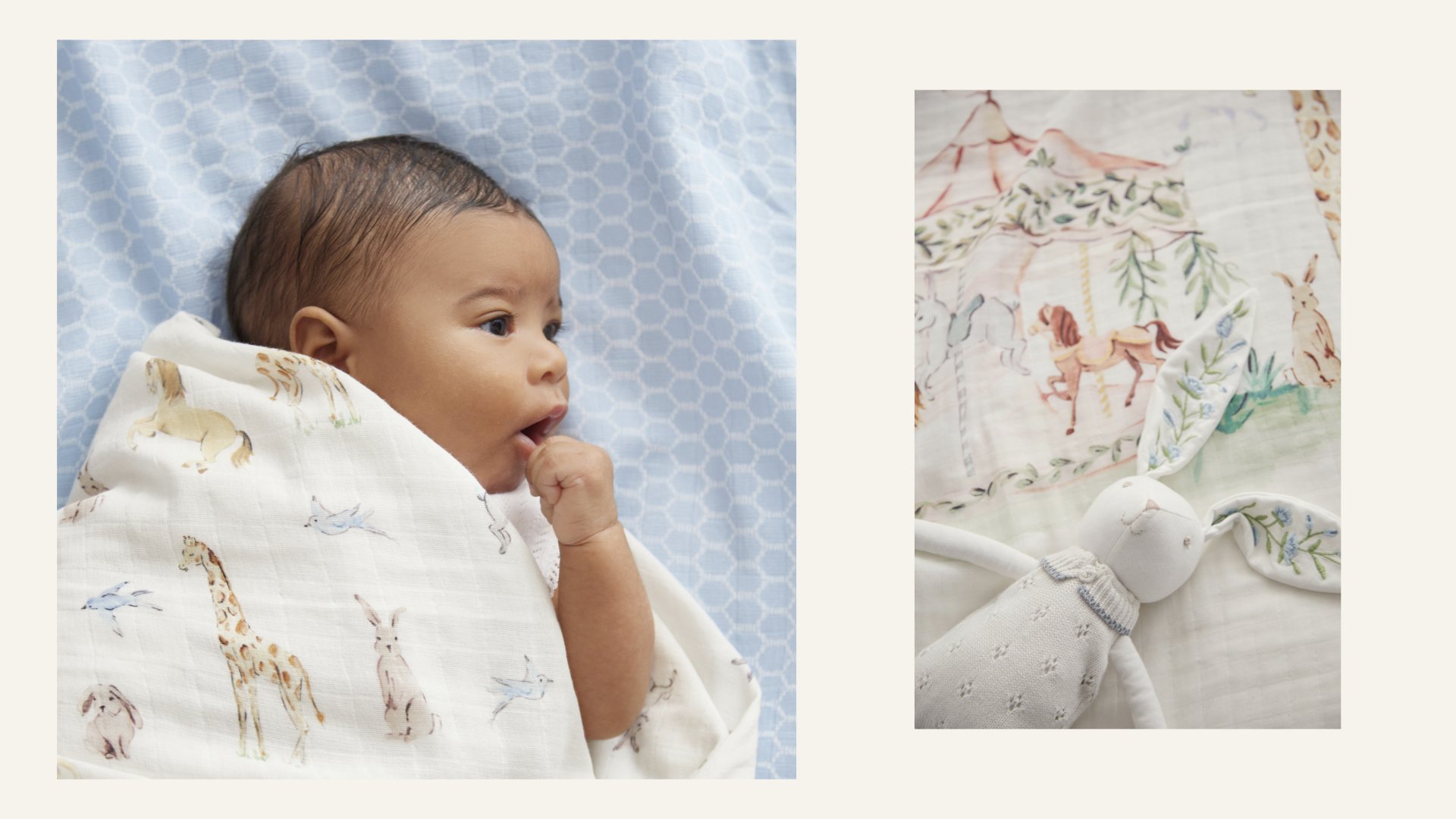 ‎WEBSITE UPDATE_11_12_25.‎058.jpeg