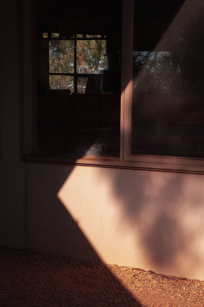 Speckle_054.jpg
