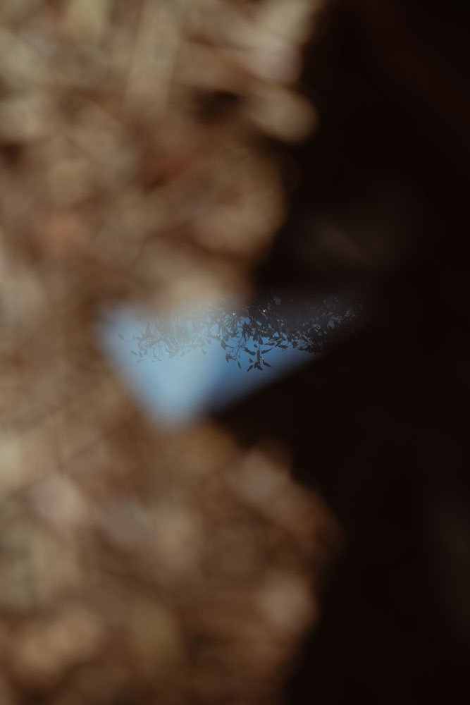 Speckle_063.jpg