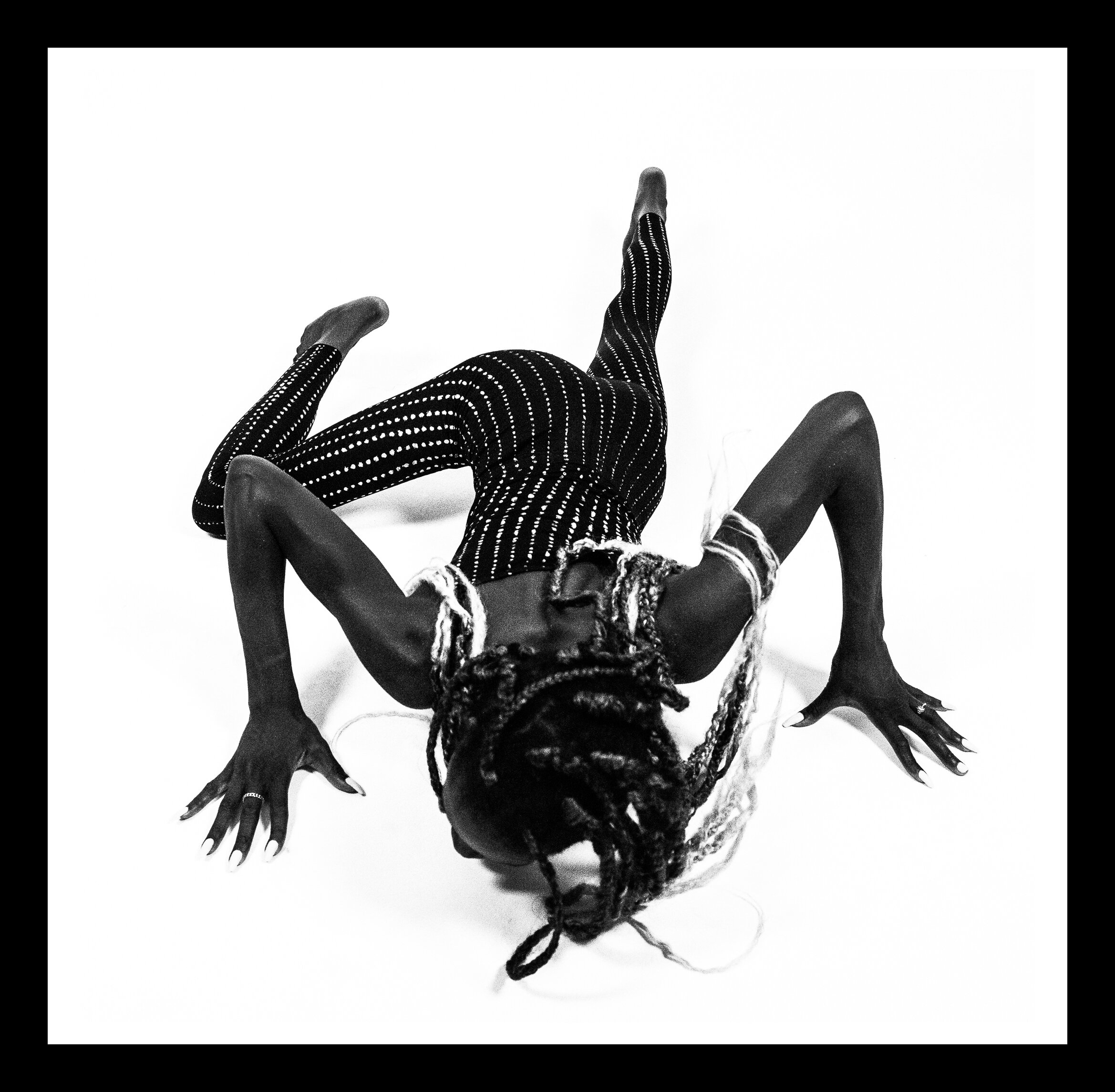Night Crawler w borders.jpg