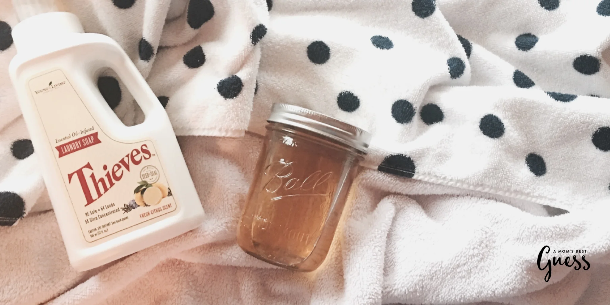 Thieves Laundry Soap Hack — DANIELLE GISELBACH