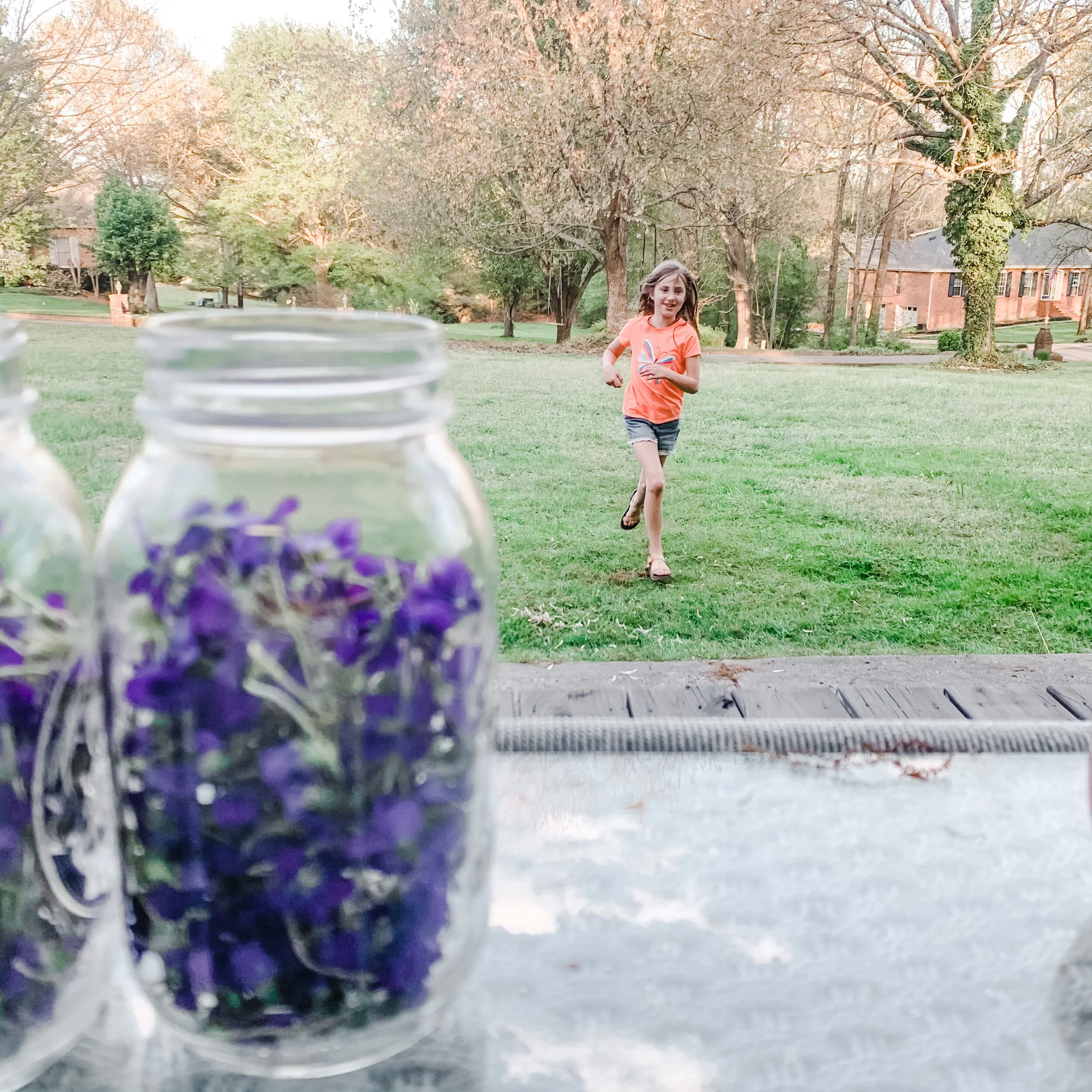 Wild Violets and an Untamed Heart.