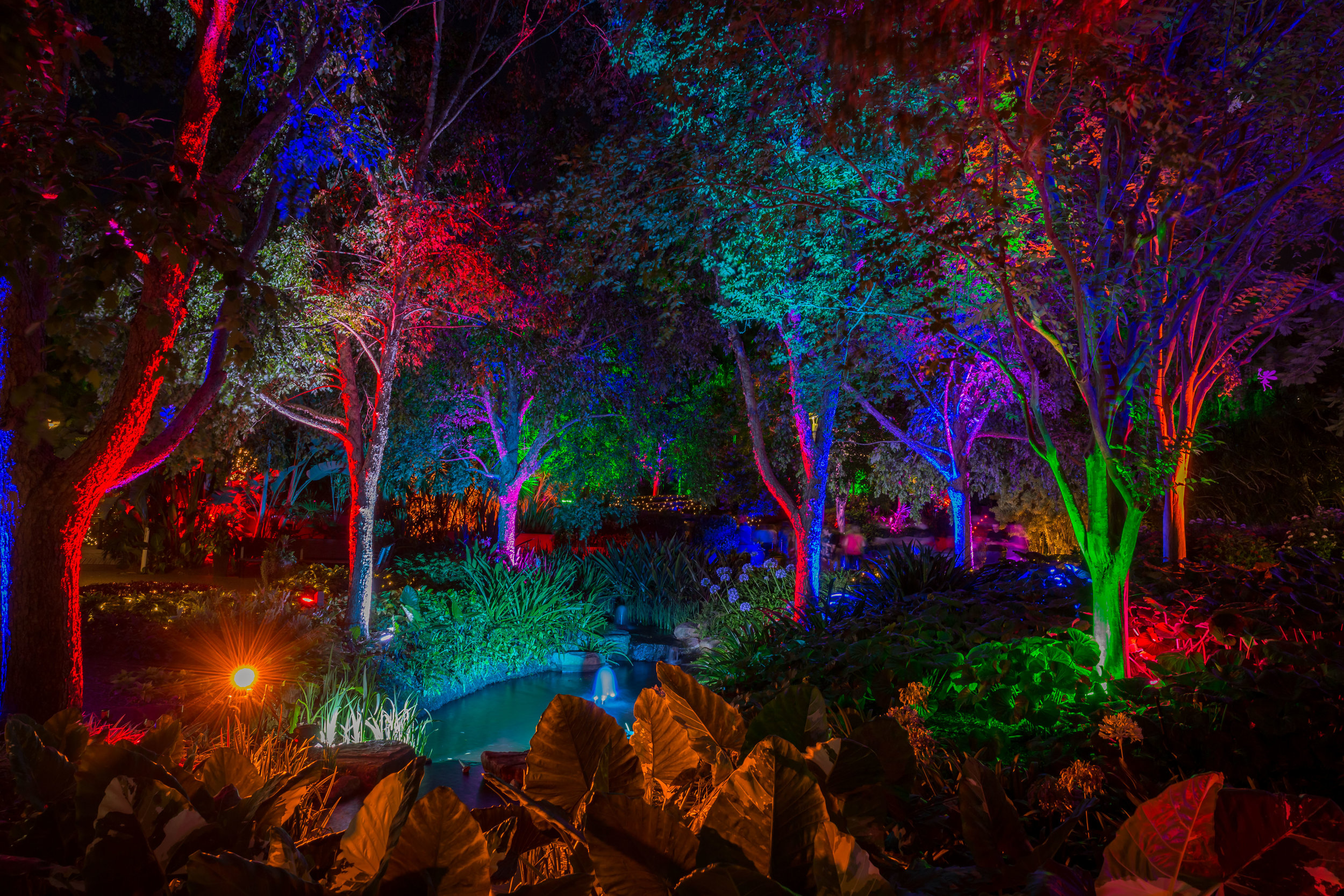 Merry And Bright To Dazzle Botanic Gardens Bundaberg Now