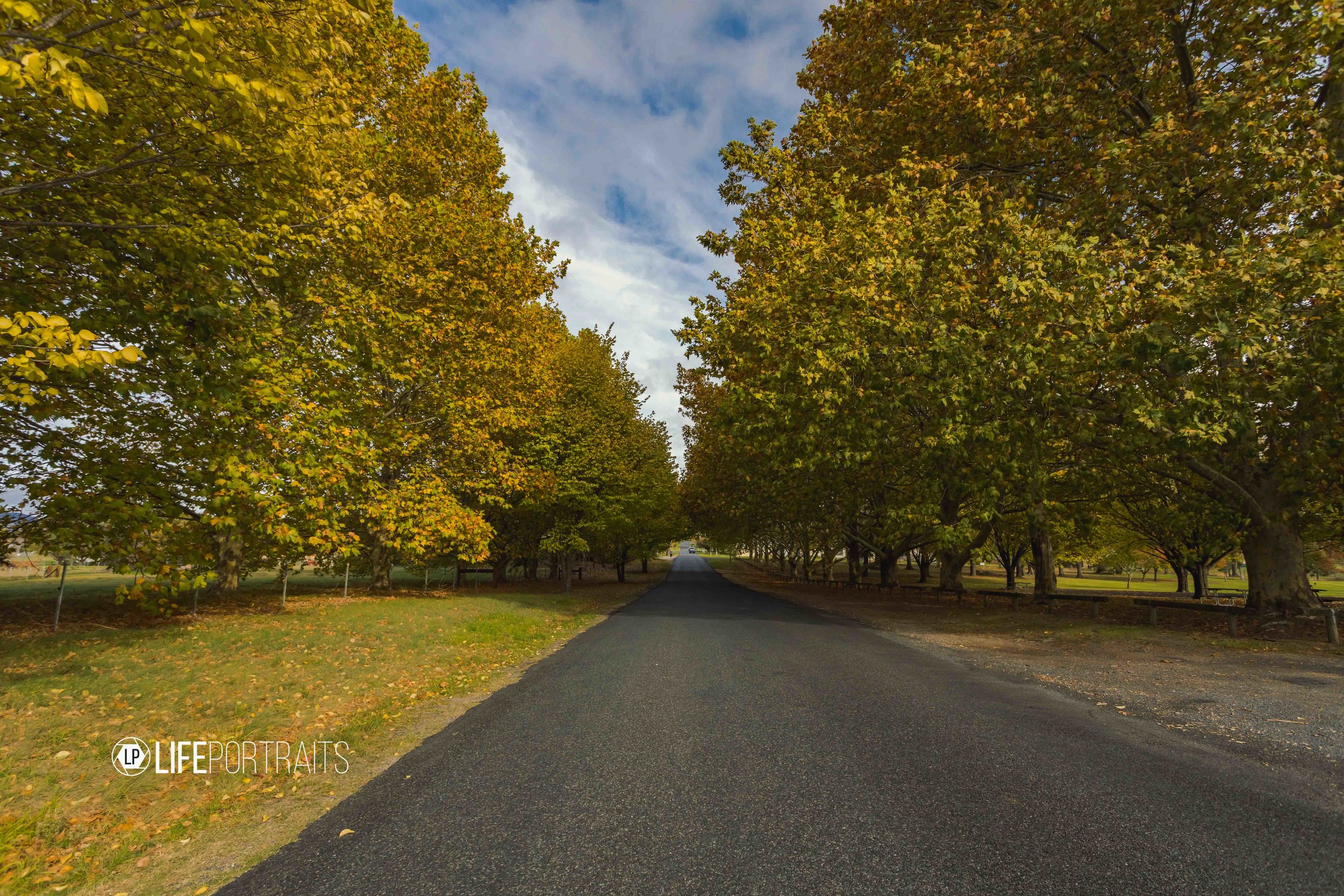 TENTERFIELD_logo141A4392-HDR.jpg