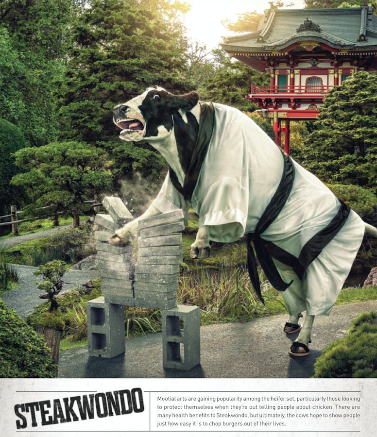 Screen Shot 2017-05-10 at 8.12.31 PM.png