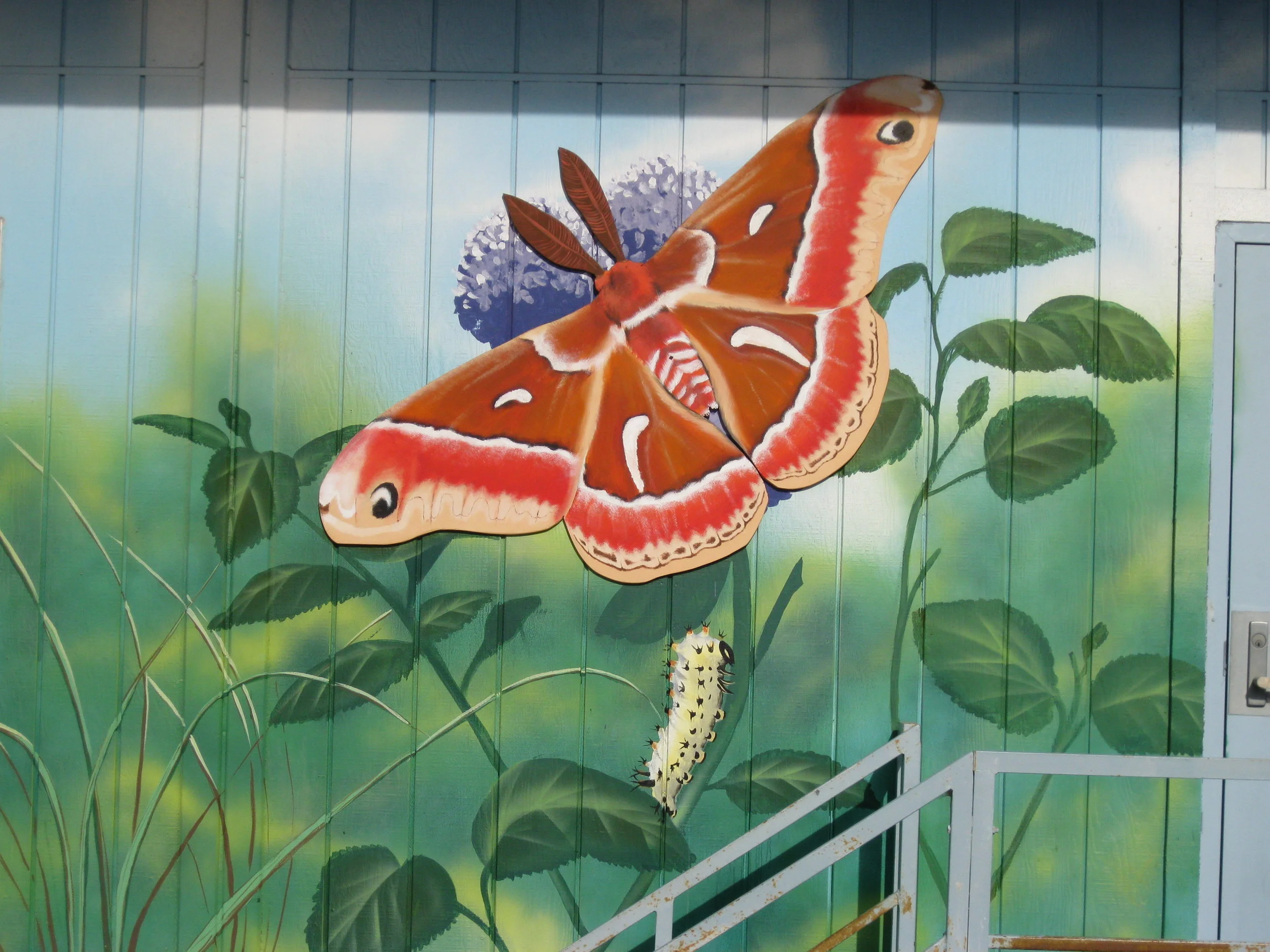 Butterfly mural