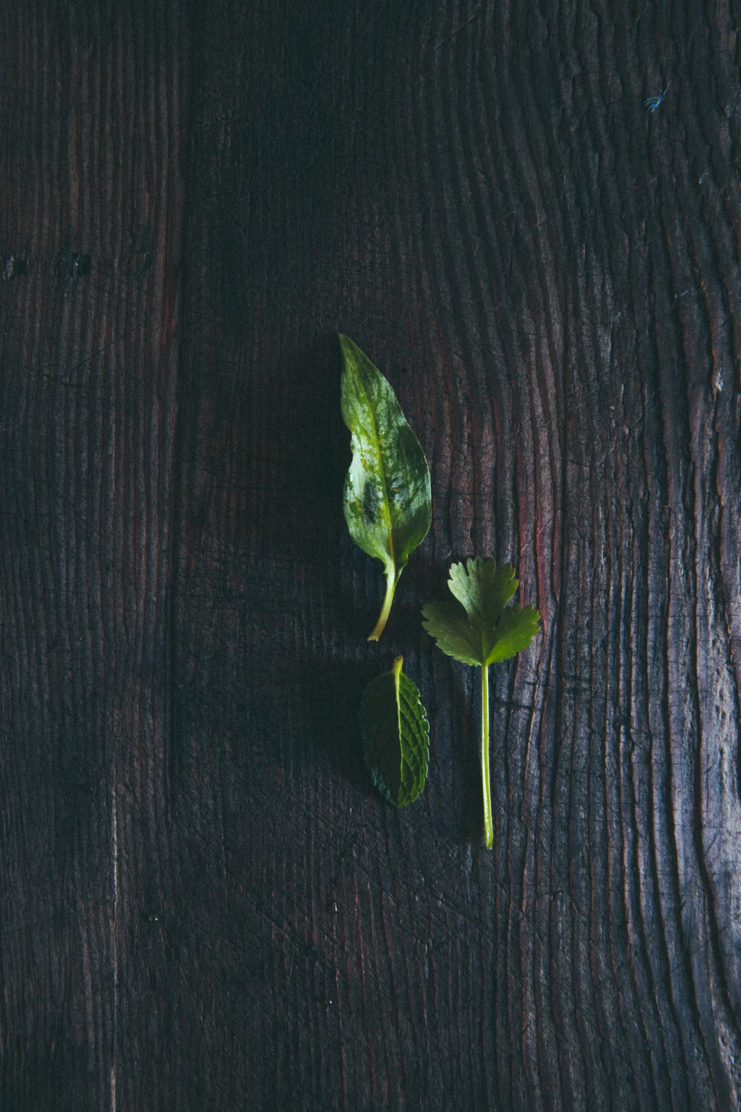 SE Asian Herbs
