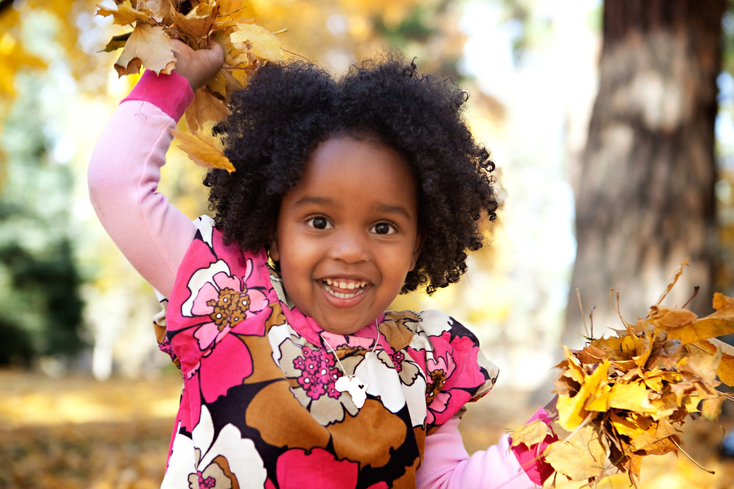IMG_7111-Edit.jpg