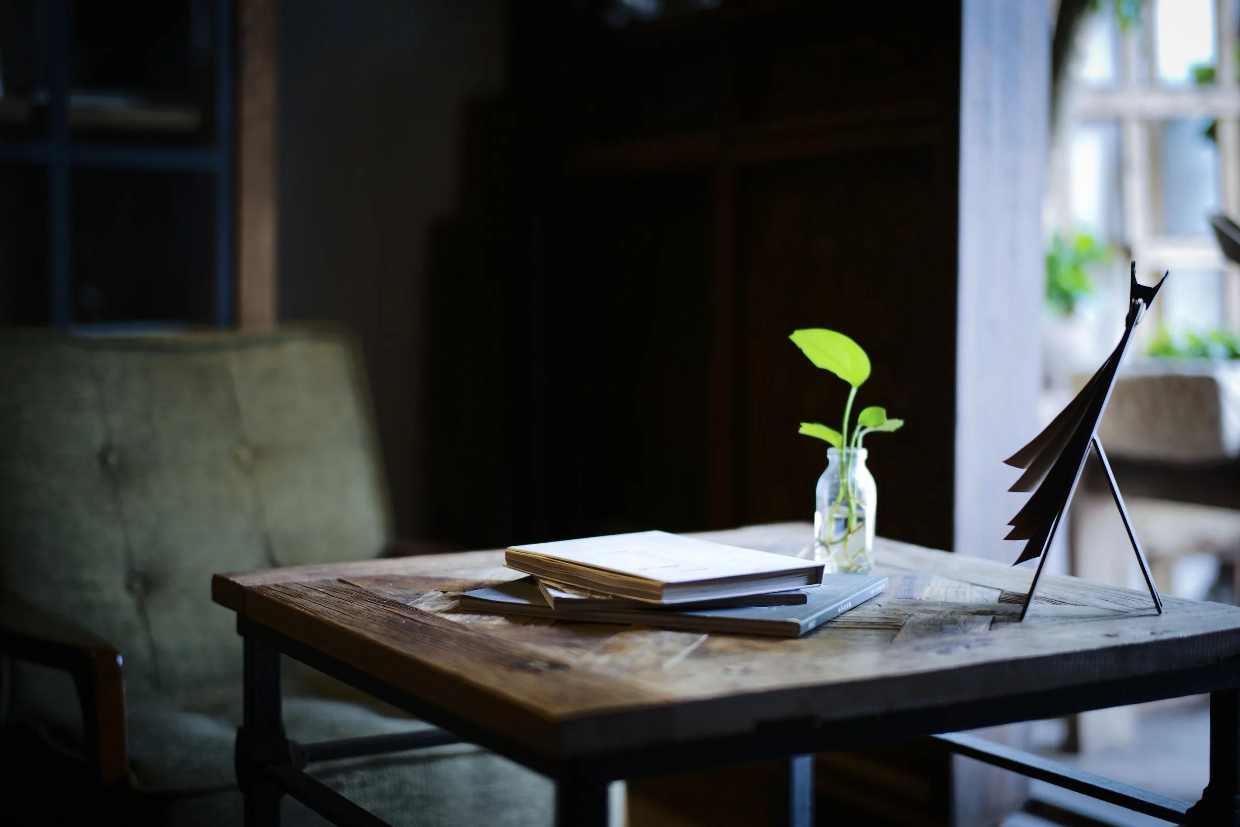 Focus on Speaking and Book Recommendations