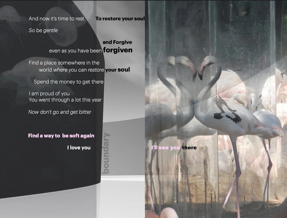 Screen Shot 2023-10-28 at 8.11.38 PM.jpeg