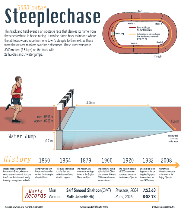 steeplechase-infographic-web.gif