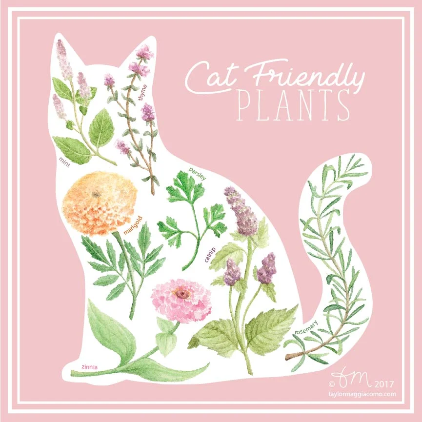 Cat Plants- pink-01.jpg
