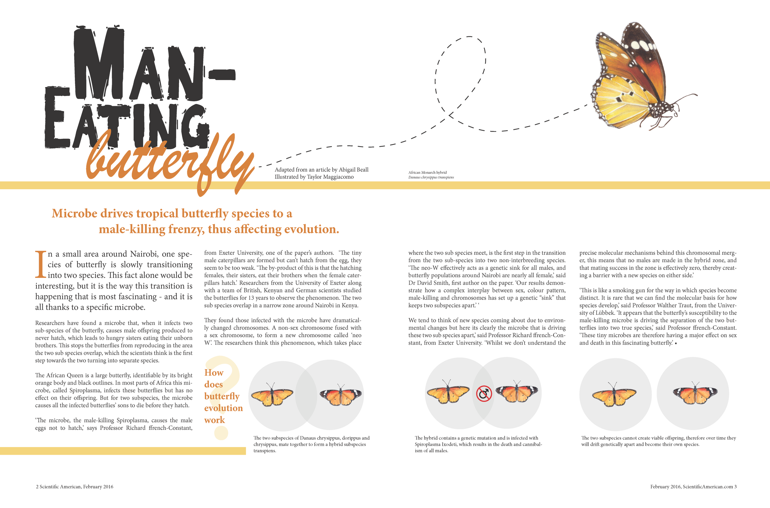 Man-Eating Butterfly.png