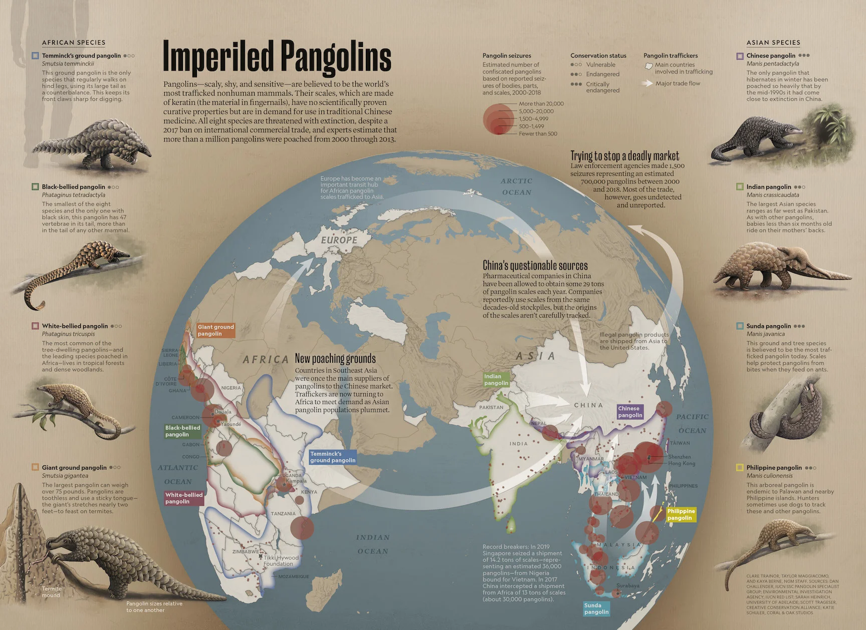 Pangolins_new OPI.jpg