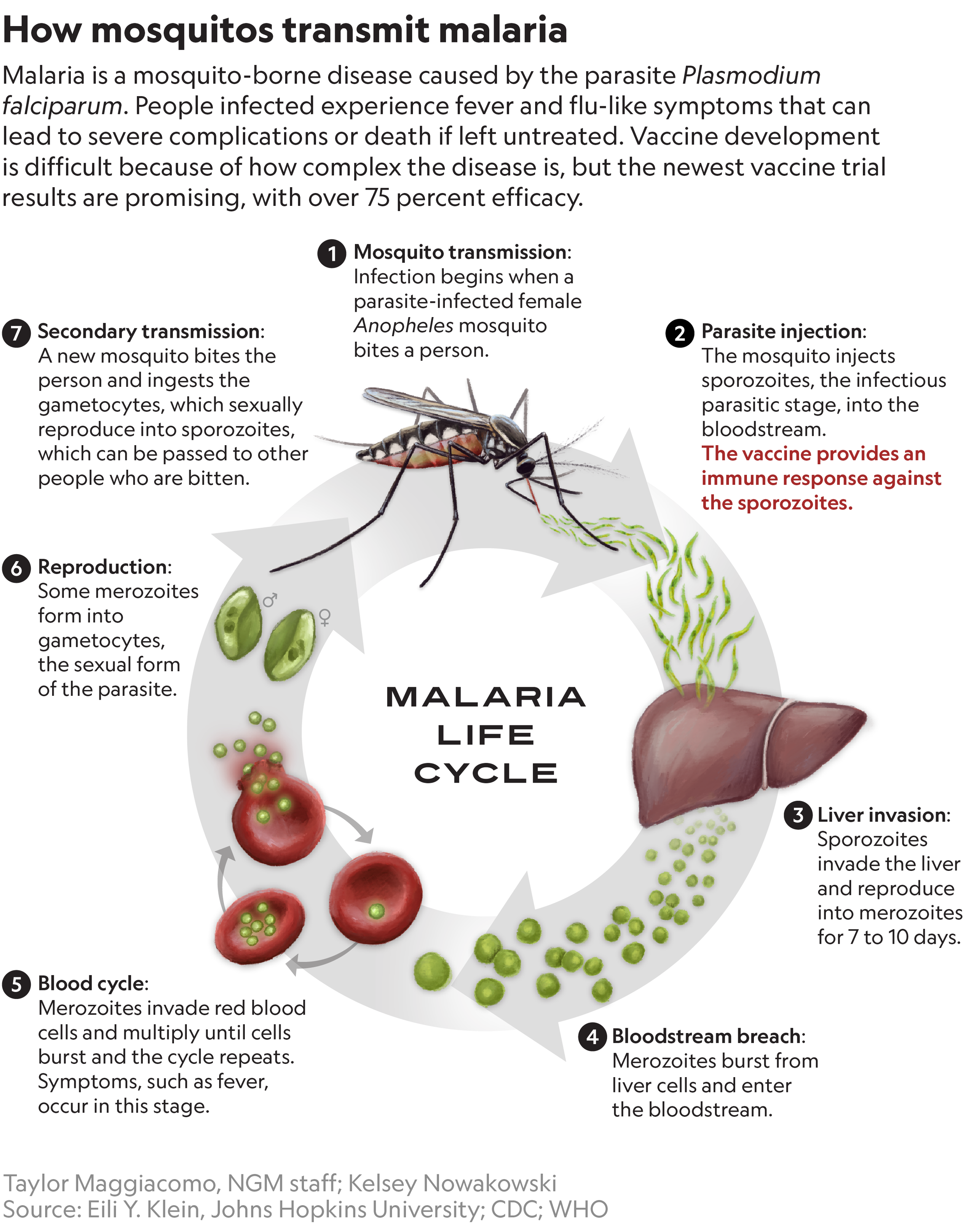 ngscience-2105-malaria_primary_ai2html_desktop-small.png