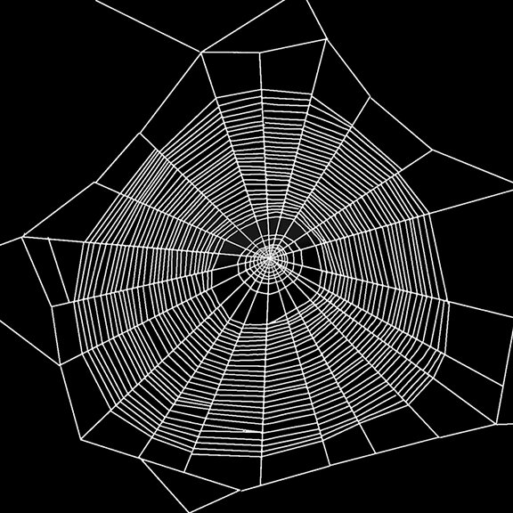 spider webs_v2.jpg